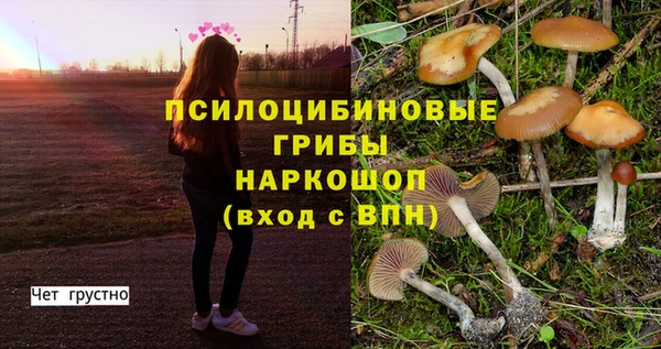 марки lsd Балахна