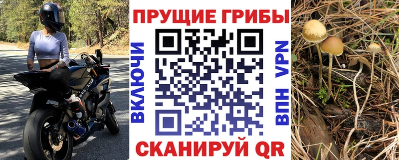 Псилоцибиновые грибы Magic Shrooms  сайты даркнета какой сайт  Вуктыл 